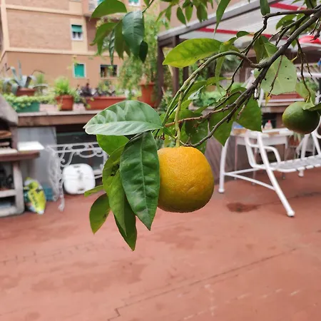 Terrazza Di Ernesto Appartement Rome Buitenkant foto