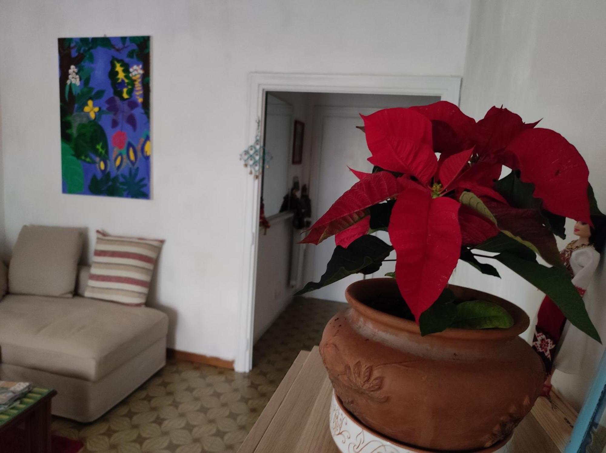 Apartment Terrazza Di Ernesto Rom