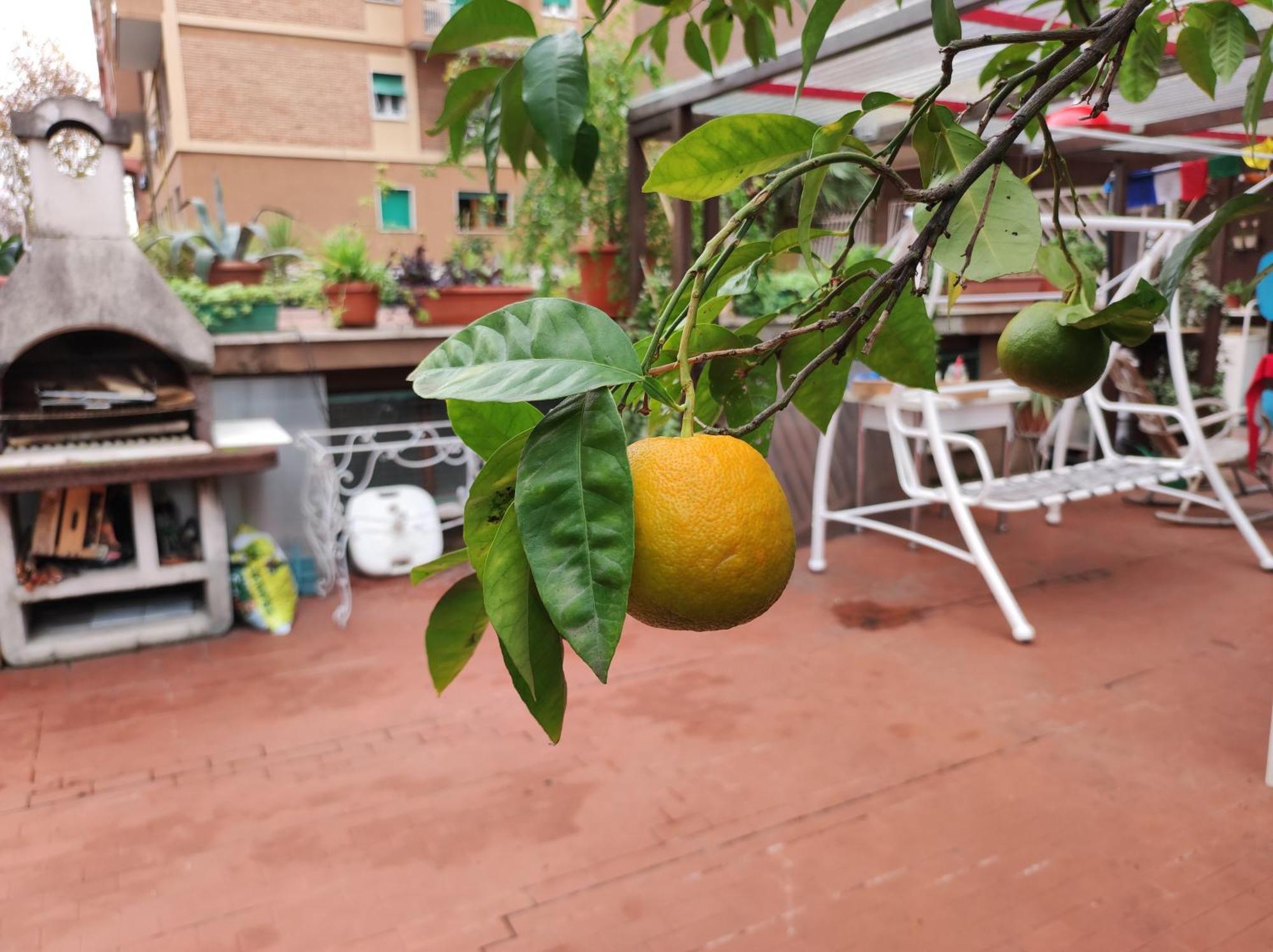 Terrazza Di Ernesto Rom